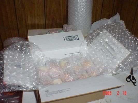 Wrapping Packing Eggs